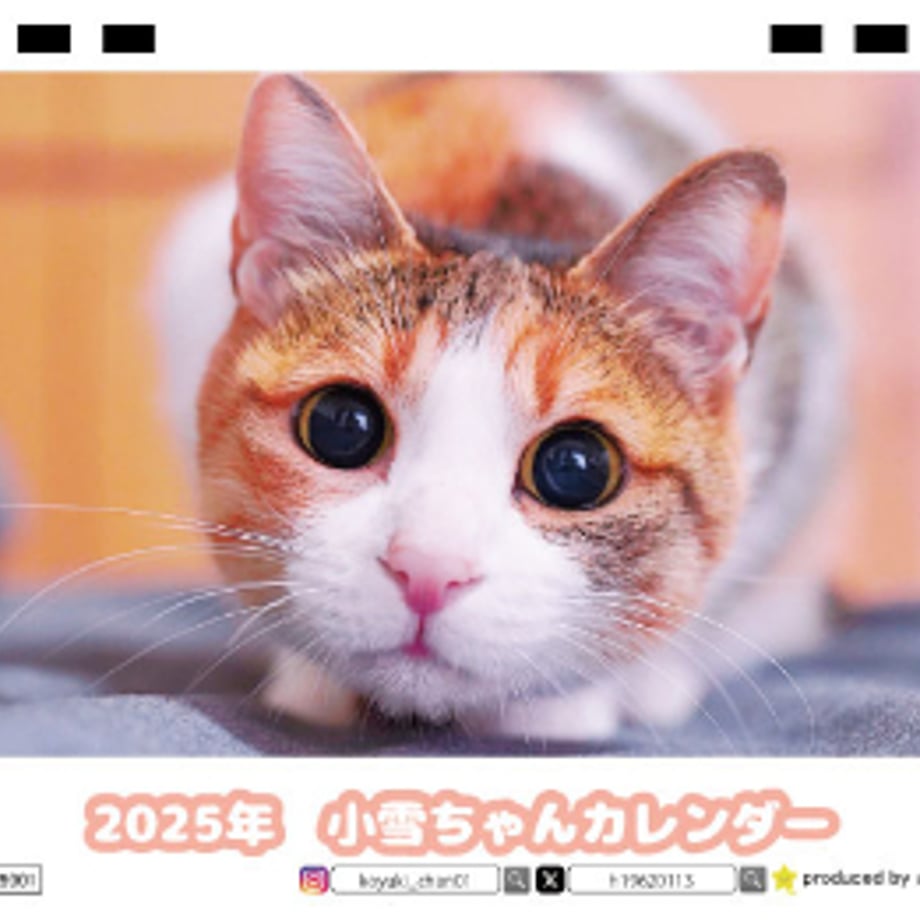 66db02a2cc85d000017b89b1