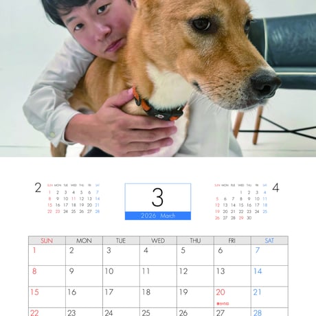 【予約販売】 チワワののぶなが 犬 2026年 壁掛けカレンダー KA26089