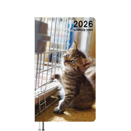 【予約販売】 ねこかます 猫 2026年 POスケジュール カレンダー PO26052