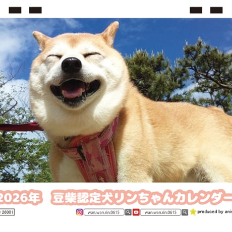 【予約販売】 豆柴認定犬リンちゃん 2026年 卓上 カレンダー TC26295