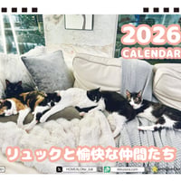 【予約販売】 リュックと愉快な仲間たち 猫 2026年 卓上 カレンダー TA26338