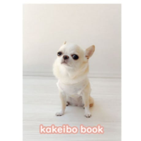 STORES チワワの検索結果