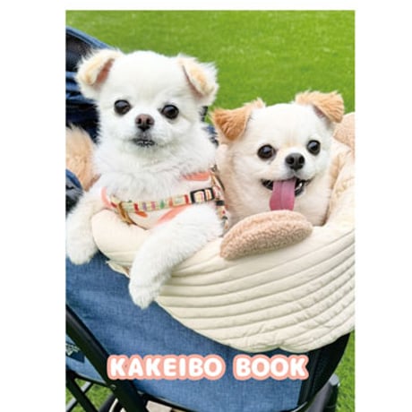 【予約販売】 てんちゃん・たるちゃん 犬 家計簿 CA006NN