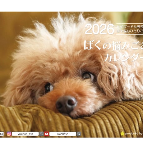 【予約販売】 ジュリア トイプードル 犬 2026年 卓上カレンダー TA26064