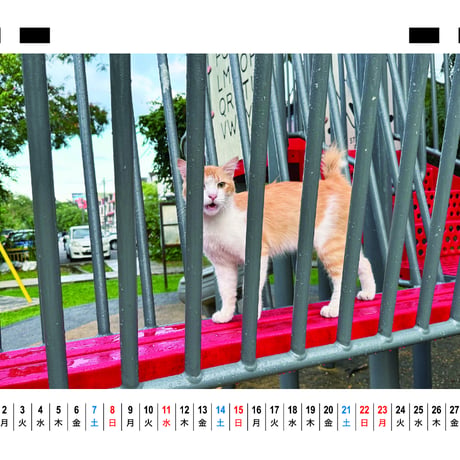 【予約販売】 ねころぐ マレーシアの街のねこたち 猫 2026年 卓上 カレンダー TC26320