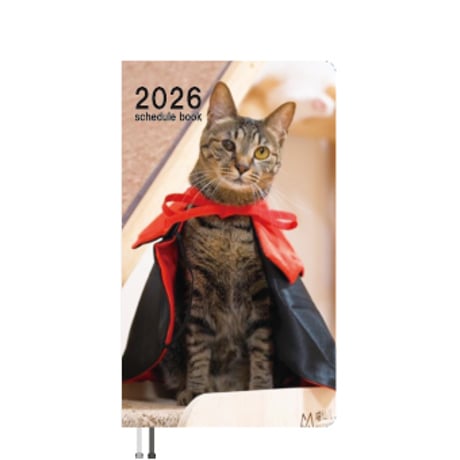 【予約販売】 吾輩は猫ニートである。 いろは 2026年 ポケットスケジュール帳 PO26350