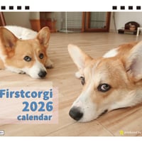 【予約販売】 初めてのコーギー 犬 2026年 卓上カレンダー TA26179