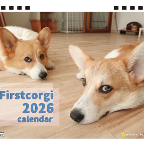 STORES コーギーの検索結果