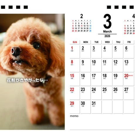 【予約販売】 ジュリア トイプードル 犬 2026年 卓上カレンダー TA26064