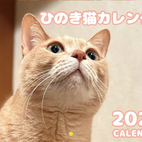 【予約販売】 ひのき猫 2026年 壁掛けカレンダー KA26175