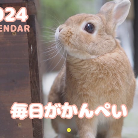 【予約販売】 うさぎの毎日がかんぺい 2024年 壁掛け カレンダー KK24036