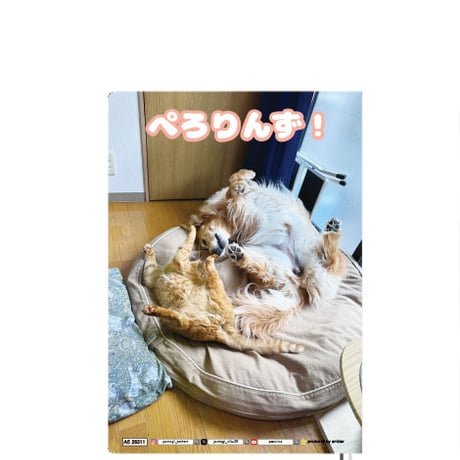 【予約販売】 ぺろりんず！ ゴールデンレトリバー 犬＆保護猫 2026年 A5スケジュール帳 A526311