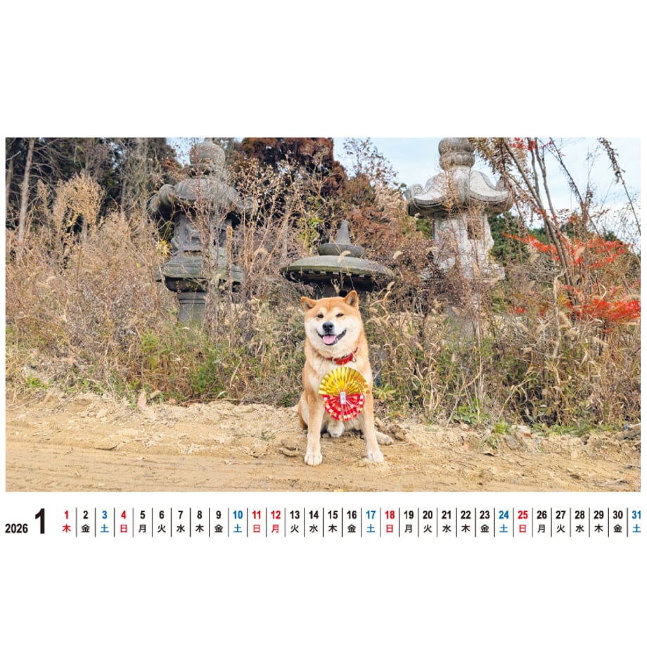 68b91345e8c4f821e352abe8