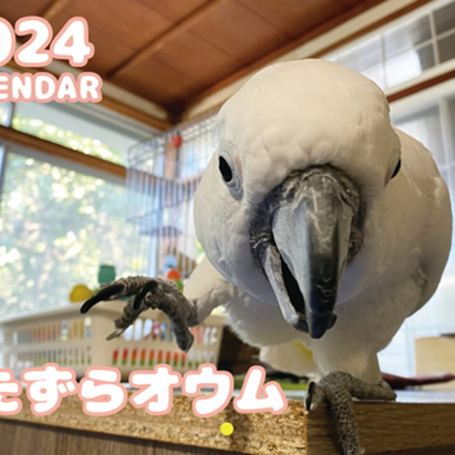 651594a73b83cf00015f3a25
