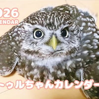 【予約販売】 ふくろうのトゥルちゃん 2026年 壁掛けカレンダー KK26107