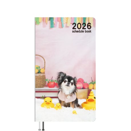 【予約販売】 チワワのUNI＆EBI 犬 2026年 ポケットスケジュール帳 PO26122
