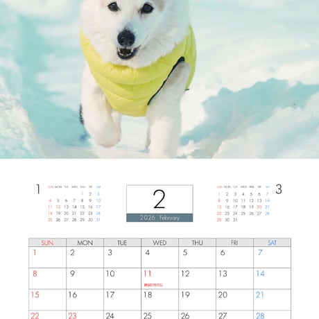 【予約販売】 ノエル&モナ コーギー 犬 2026年 壁掛け カレンダー KA26333