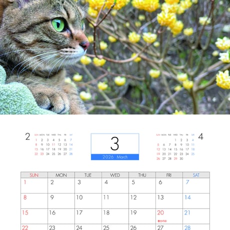 【予約販売】 TENTEN 猫 2026年 壁掛けカレンダー KK26067