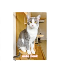 【予約販売】 猫のにゃんたま 2025年 A5ノート帳 No25022