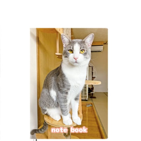 【予約販売】 猫のにゃんたま 2025年 A5ノート帳 No25022