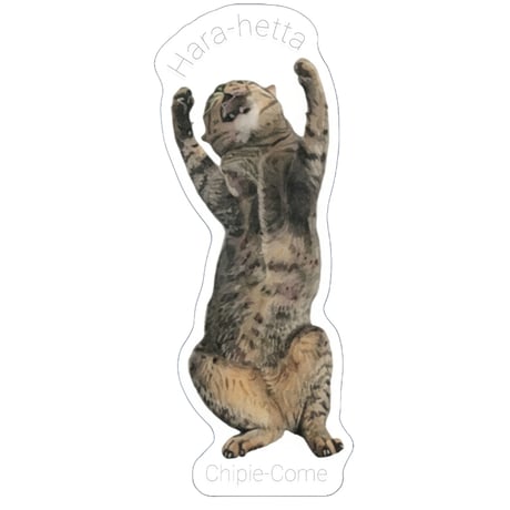 【予約販売】 しぴ＆おこめ 猫 ステッカー 3枚セット SU017NN