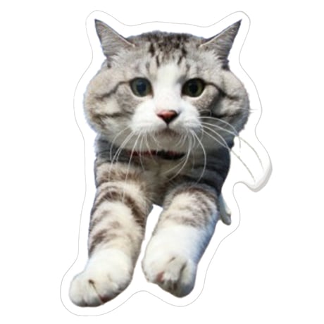 【予約販売】 旅猫 ニャン吉 ステッカー 3枚セット SU019NN