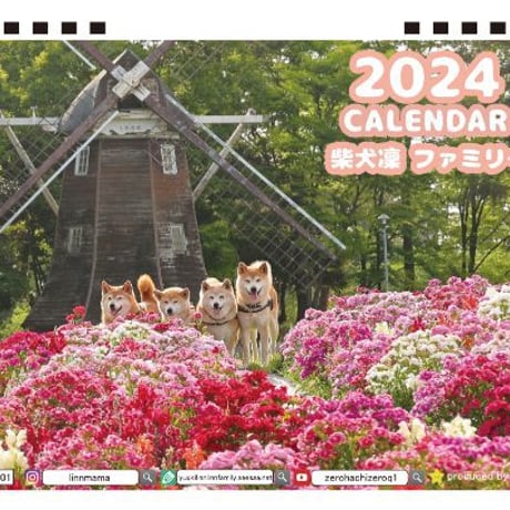 【予約販売】 柴犬 ＬＩＮＮファミリー  2024年 卓上 カレンダー TC24303