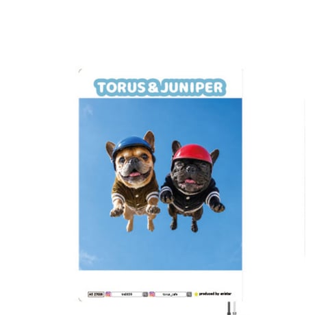 【予約販売】 トーラスとジュニパー フレンチブルドッグ 犬 2027年 A5スケジュール帳 A527036