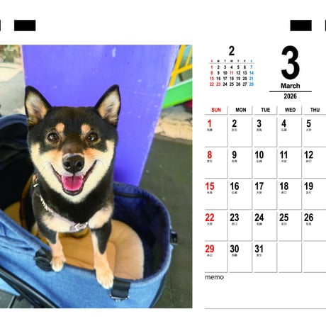 【予約販売】 豆柴ごま娘 犬 2026年 卓上 カレンダー TC26316