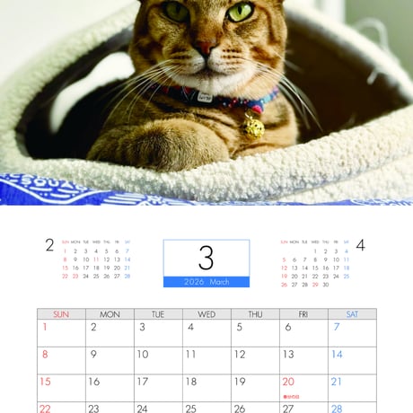 【予約販売】 猫のウルン＆リコリン 2026年 壁掛け カレンダー KK26297