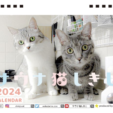 【予約販売】 サウナ猫しきじ 2024年 卓上 カレンダー TC24207