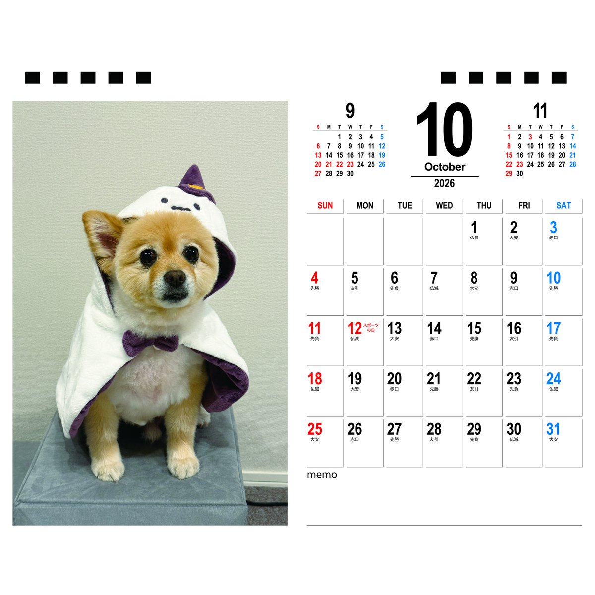 予約販売】 ポメラニアンのポメくん 犬 2026年 卓上半面 カレンダー