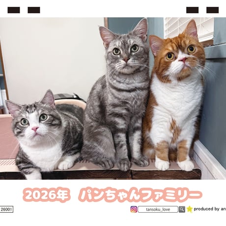 【予約販売】 パンちゃんファミリー 猫 2026年 卓上カレンダー TC26164