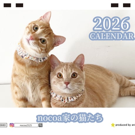 【予約販売】 nocoa家の猫たち 2026年 卓上カレンダー TC26116