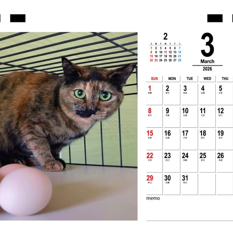 【予約販売】 猫のウルン＆リコリン 2026年 卓上 カレンダー TC26298