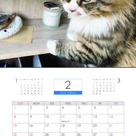 【予約販売】 猫のにゃろめっこ 2026年 壁掛けカレンダー KA26155