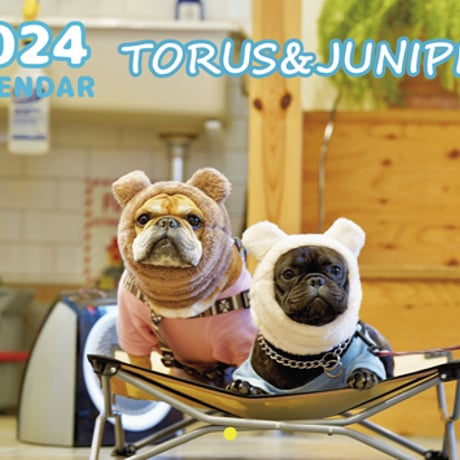 【予約販売】 フレンチブルドッグ犬のtorus トーラス 2024年 壁掛け カレンダー KK24003