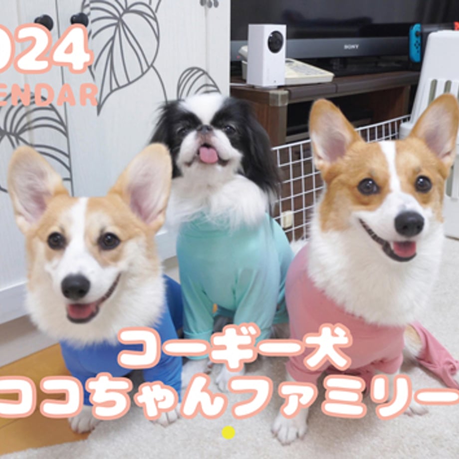 65158e2f191a4b0001986461