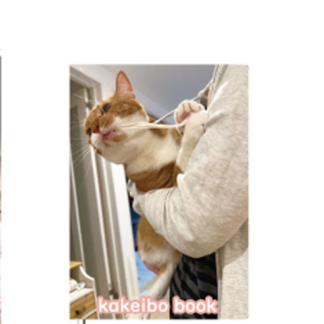 【予約販売】 猫のウルン＆リコリン 2025年 家計簿帳 CA25276