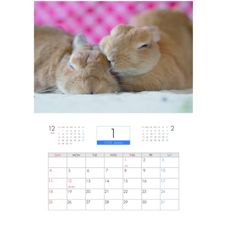 【予約販売】 うさぎの毎日がかんぺい 2026年 壁掛け カレンダー KA26003