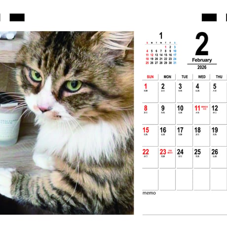 【予約販売】 猫のにゃろめっこ 2026年 卓上カレンダー TC26157