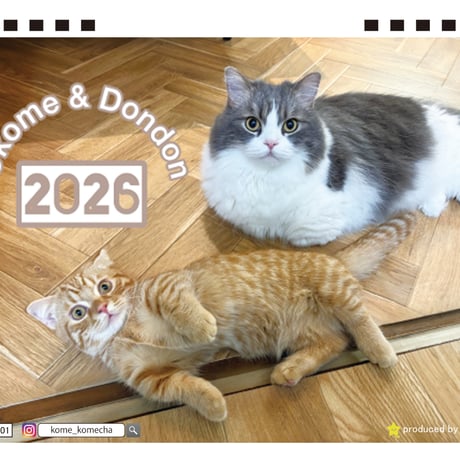 【予約販売】 猫のおこめ&どんどん 2026年 卓上カレンダー TA26264