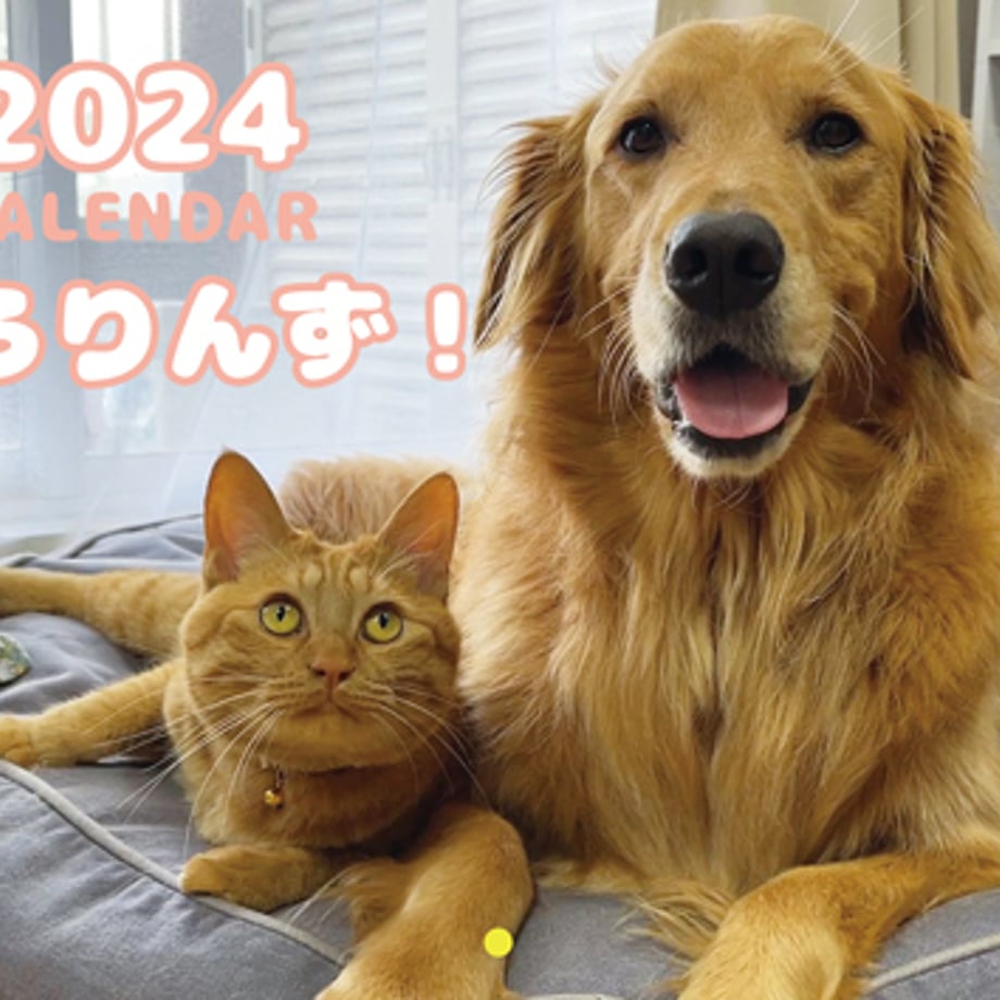 65158dfc191a4b000198643e