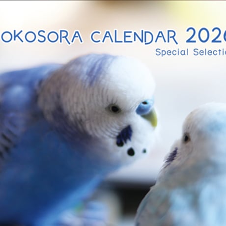 【予約販売】 インコのポコそら 鳥 2026年 壁掛けカレンダー KK26101