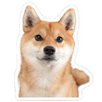 【予約販売】 ラル＆アキ パグ 柴犬 ステッカー 3枚セット SU002NN