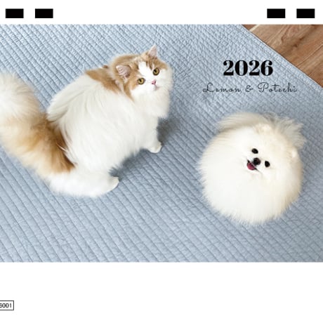 【予約販売】 レモンとポテチ 猫 犬 猫のレモンと犬のポテチちゃんねる 2026年 卓上 カレンダー TC26308
