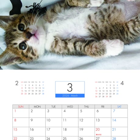 【予約販売】 保護猫イルカとハナ日記 2026年 壁掛けカレンダー KK26246