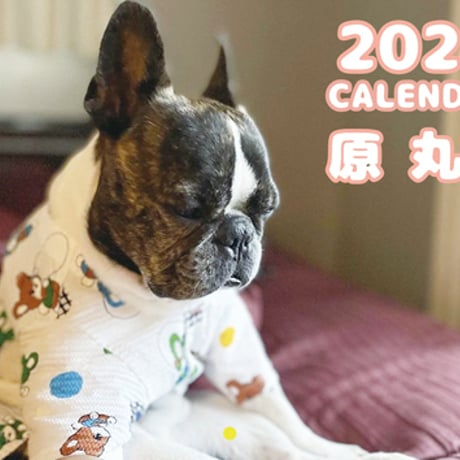 【予約販売】 フレンチブルドッグ犬 原 丸男 2024年 壁掛け カレンダー KK24081