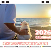 【予約販売】 ポメラニアンのマヨちゃんねる 犬 2026年 卓上カレンダー TC26222