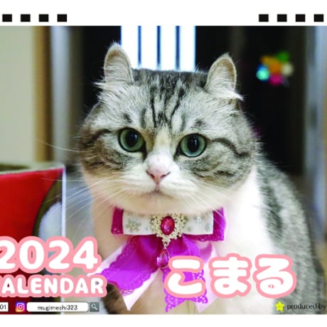 【予約販売】 猫のこまる 2024年 卓上 カレンダー TC24111